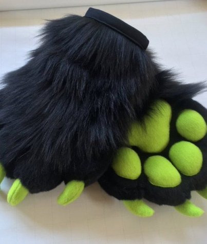 Hand Paws 2