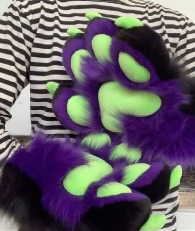 Hand Paws 3