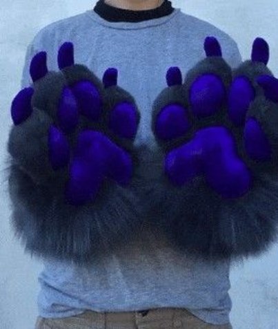 Hand Paws 4
