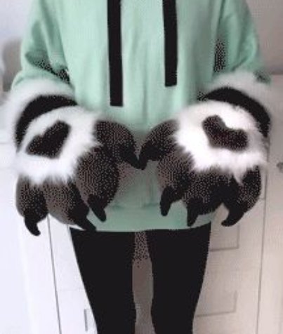Hand Paws 5